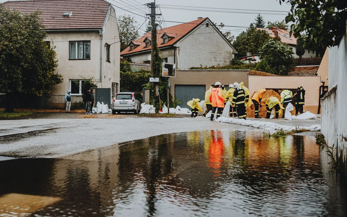 Praktyczne wskazówki dla mieszkańców Bolesławca i okolic