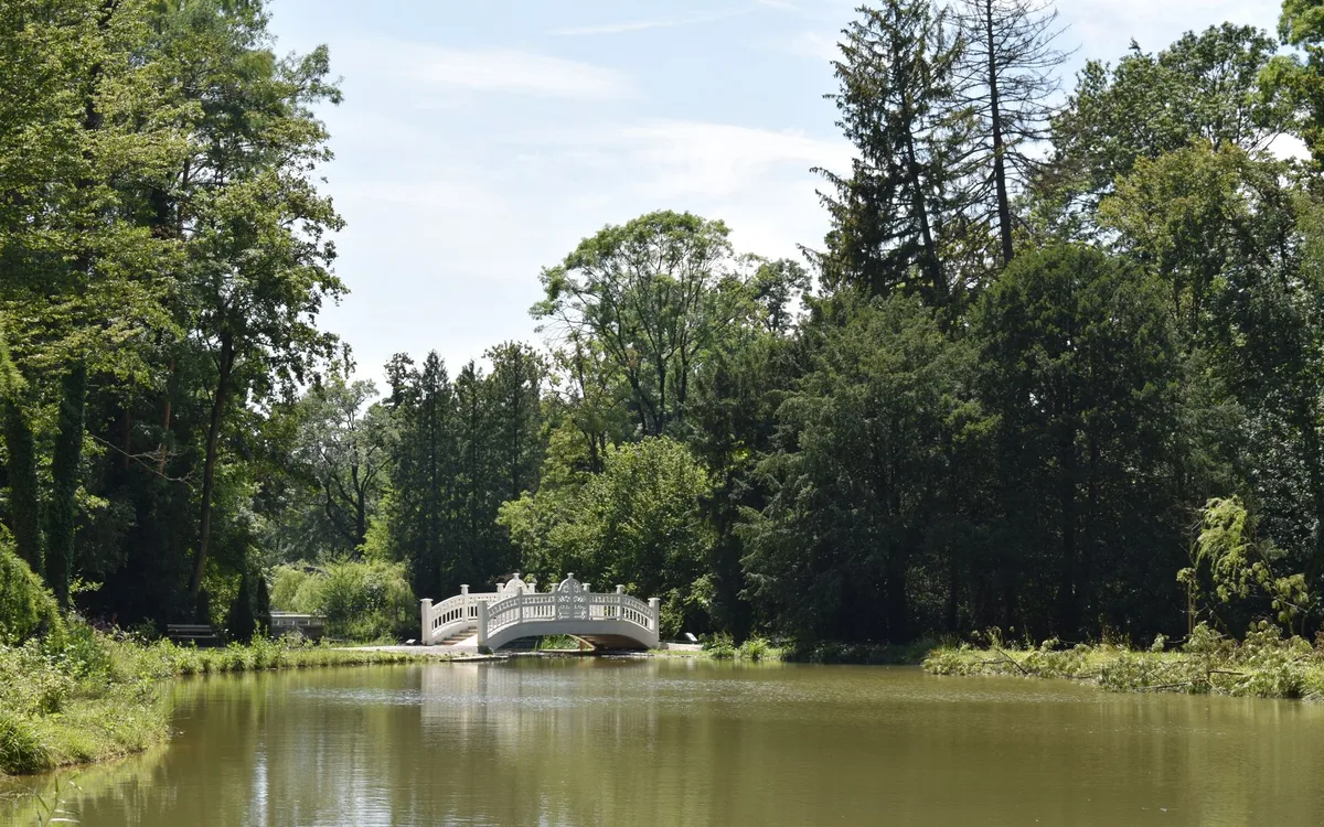 Park Miejski w Bolesławcu - pętla biegowa dla każdego