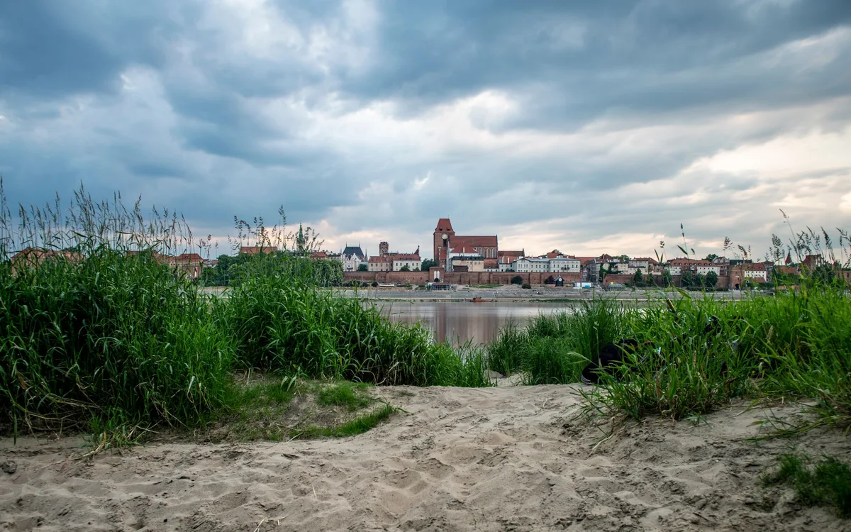 Czy Bolesławiec jest miastem przyjaznym psom na tle Dolnego Śląska?